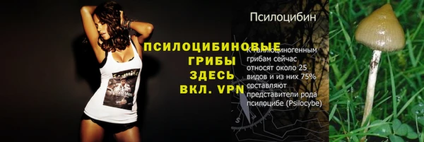хмурый Белокуриха