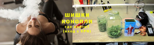 ПСИЛОЦИБИНОВЫЕ ГРИБЫ Баксан