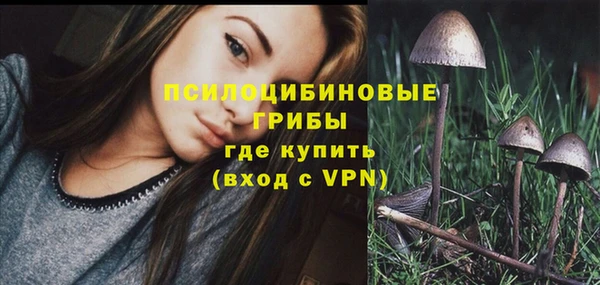 трава Балахна