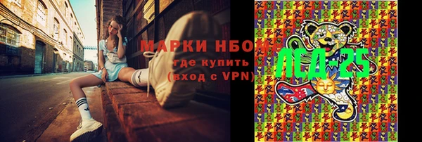 ПСИЛОЦИБИНОВЫЕ ГРИБЫ Баксан