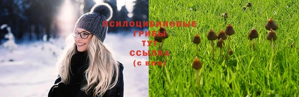 трава Балахна