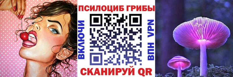 Псилоцибиновые грибы Psilocybe  Волжск 